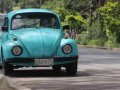 volkswagen beetle 1969-1