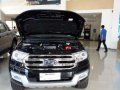 New 2017 Ford Everest Units All in Promo -5
