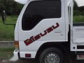 Japan Surplus Isuzu Elf-7