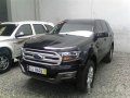 Ford Everest 2016 for sale-2