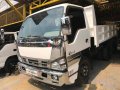 2017 Isuzu elf truck white for sale -6