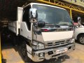 2017 Isuzu elf truck white for sale -2