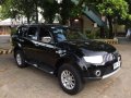 2010 Mitsubishi Montero Sport GLS for sale-0