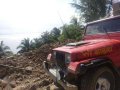 Wrangler Type Owner Jeep for sale -2