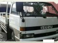 Isuzu elf wide 17ft.cargo truck for sale -0