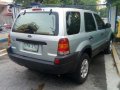 Very Fresh 2004 Ford Escape 4x2 AT For Sale-2