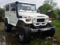 Toyota Land Cruiser 1980 White for sale-0