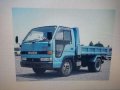 Isuzu Elf MiniDump Nkr 4HF1 Blue For Sale-2