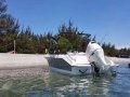 Brand new Boat : Grabber 620 by Ocean Gecko-2