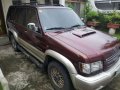 Isuzu Trooper 2001 for sale-3