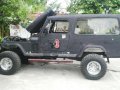 Wrangler Jeep 4BA1 MT Black For Sale -0