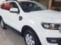 2017 Ford Everest 2.2L 4x2 with Ambiente MT 33k DP-2