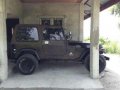 FS Wrangler Jeep-2