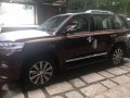 2017 Bnew Toyota Land Cruiser LC200 Platinum Edition Dubai Version-1