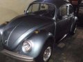 1979 Brazilan Volkswagen Beetle-3