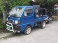 Suzuki Multicab 4x4 2010 MT Blue For Sale -0