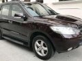 2009 Hyundai Santa Fe for sale  -8