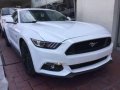 Brand New 2017 Ford Mustang 5.0 GT For Sale-1