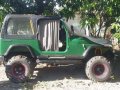 Jeep Wrangler 4x4 2000 Green For Sale -0