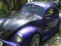 1972 beetle for sale-2