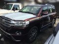 Brand New Toyota Land Cruiser 200-3