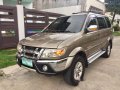 Isuzu Crosswind 2010 for sale -1