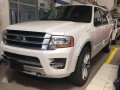 Brand New 2017 FORD Expedition Platinum-0