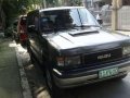 Isuzu Trooper Bighorn 2002 4x4 Gray For Sale -0