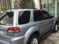 Ford Escape 2009 AT Blue SUV For Sale -1