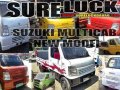 For sale 2017 Suzuki Multicab 4x4-3