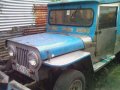 Good Running Condition 1994 Mitsubishi Jeep MT For Sale-6