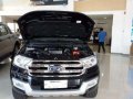 2017 Ford Everest Trend for sale-2