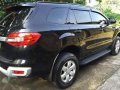 2016 Ford Everest 2.2 Manual for sale -3
