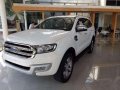 2017 Ford Everest for sale-2