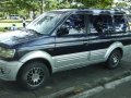 Mitsubishi Adventure 2002 for sale -3