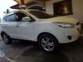 Hyundai Tucson 2010 model for sale-0