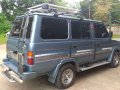 Toyota Tamaraw FX GL 1996 MT Blue For Sale -4