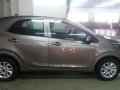 All new Kia Picanto for sale-4