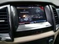 2016 Ford Everest for sale-7
