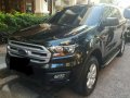 2016 Ford Everest for sale-0