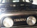 Isuzu Trooper Bighorn 1994 AT Gray For Sale -4