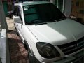 Well-maintained Mitsubishi Adventure 2010 for sale-2