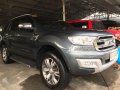 2015 Ford Everest Titanium AT 4x4 Gray For Sale -1