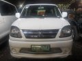Well-maintained Mitsubishi Adventure 2010 for sale-0