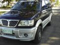 Well-kept Mitsubishi Adventure 2002 for sale-2