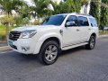 Ford Everest 2010 for sale-1