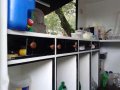Food Truck Suzuki Multicab 2005 White For Sale -5