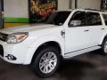 2013 Ford Everest 4x2 matic for sale -0