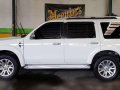 2013 Ford Everest 4x2 matic for sale -1