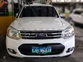 2013 Ford Everest 4x2 matic for sale -3